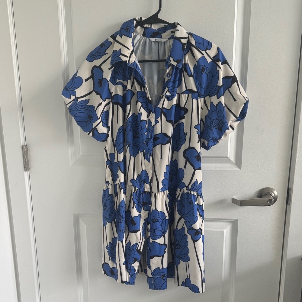 Floral Blue and White Dress